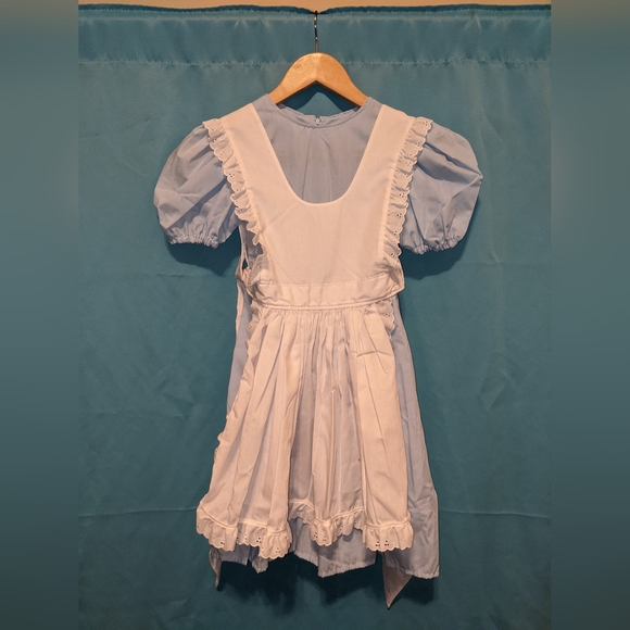 Dorothy wizard of oz costume or Alice in wonderland - Picture 1 of 5